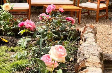 Abbaye Cottage - Maison entière - jardin - jacuzzi - Photo 4