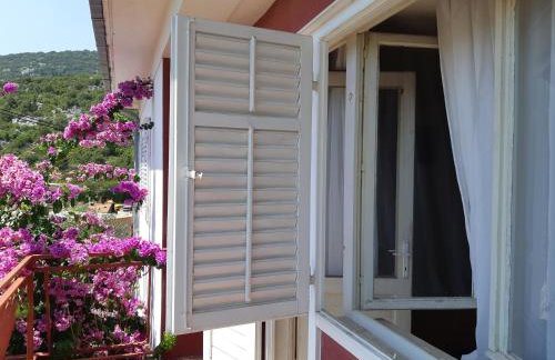 Apartman VeDE Baćina - Foto 31