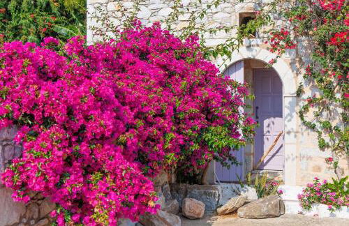 Iliana's house - spacious cave house in the center of Areopolis - Foto 38