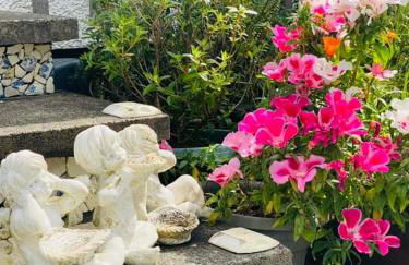 "Balmoral View" - Foto 19