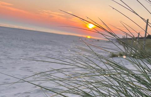 Lawendowe Zacisze 2 - Foto 12