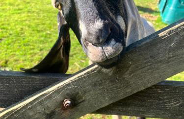 Stable End - Photo 24