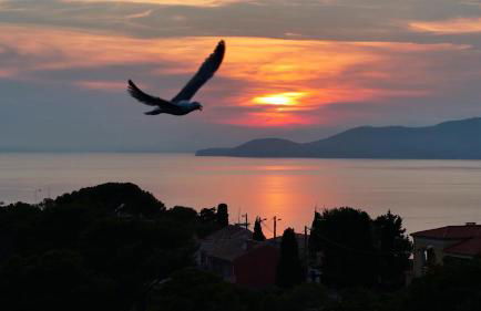 T3 Escale à Giens - Foto 33