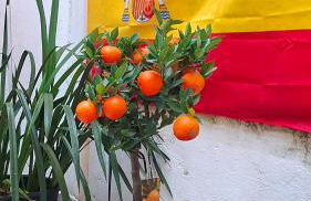 LISA'S HOME - La casa di Lisa - 15 min by train from Milan Central station - Foto 33