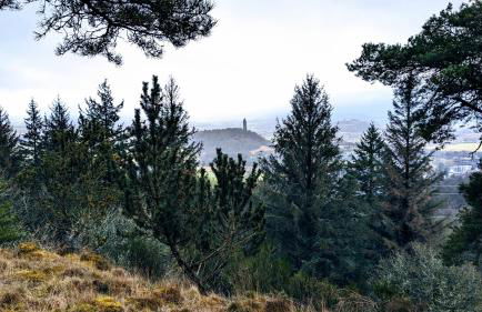 Shepherds Hut on tranquil Powis House Estate - Foto 14