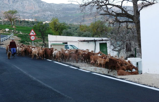 Detached Rural and Rustic House With a Private Swimming Pool - Photo 17