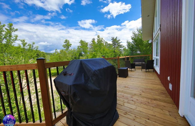 Sommet- Pet Friendly- Spa- SKI IN SKI OUT St-c me - Foto 36