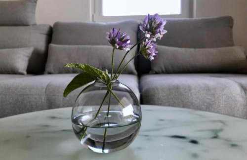 VisitAylinVis - Foto 5