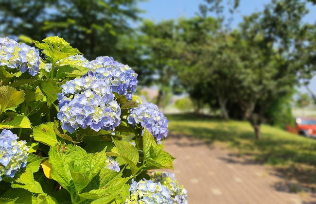 Haha Pension - Foto 57