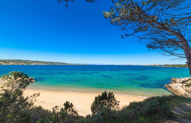 Residence Ea Bianca - Foto 50