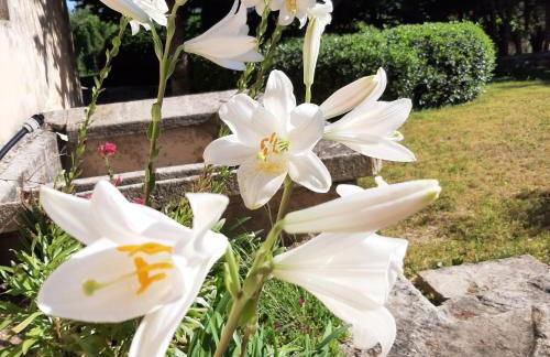 Mas de "La Garcine" - Foto 13