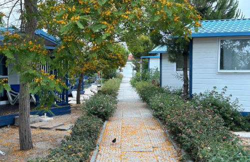 Orbitur Ilha de Armona - Foto 25