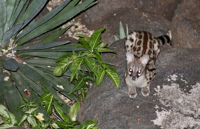 Kruger Kumba - Lahlekile Nathi - Photo 57