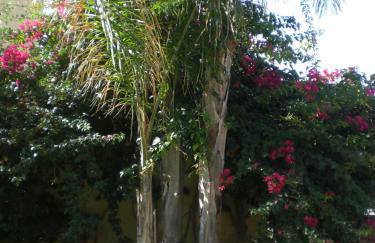 Villa Solare - Foto 13