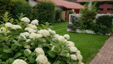 Ferienwohnung Blick zu den Sternen - Foto 4