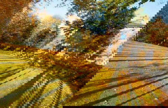 Gomersal Lodge Hotel - Foto 30