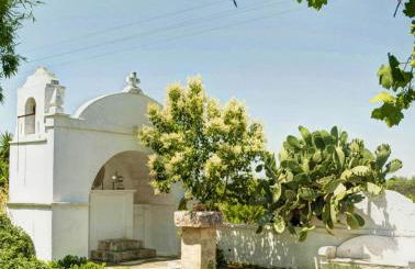 Masseria La Brunetta - Foto 45
