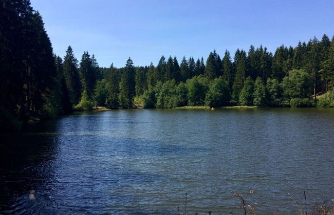 Holiday Home Harzhaus Time out - Photo 26