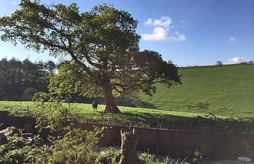 Stocks Barn - Foto 20