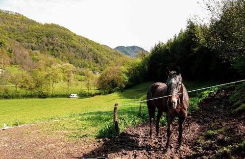 Cascina Canale - Foto 27