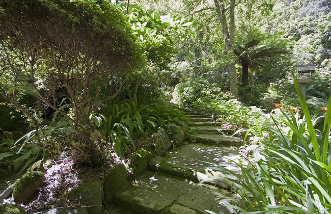 Lotus Lodges - Foto 2