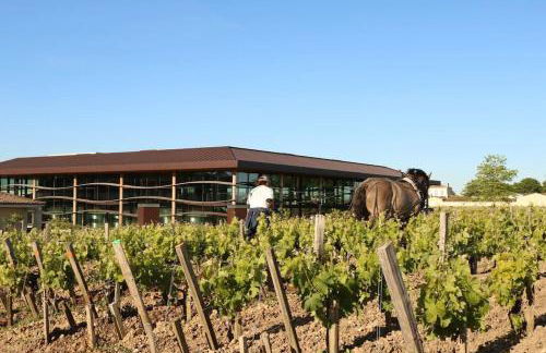 bel appartement en pierre de 88 M2 charme d’antan - Foto 4