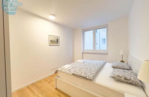 Blue Life 3b Tirabora Short Rent - Foto 13