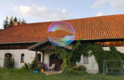 Jabłkowo-na skraju Puszczy Boreckiej ŚNIADANIA W CENIE - Foto 1