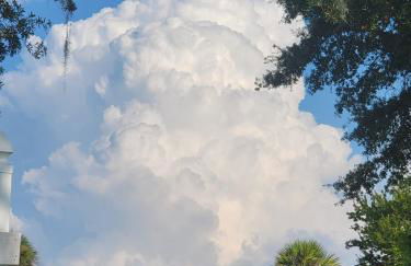 Historic GWALTNEY HOUSE-Cottage at St Andrew's Bay - Photo 7