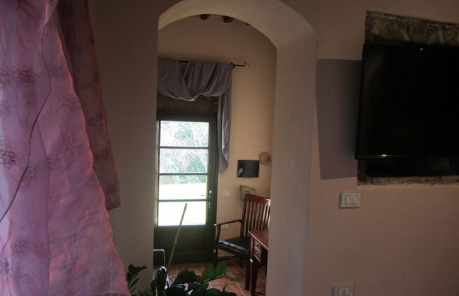 Tenuta di Seripa - Foto 10