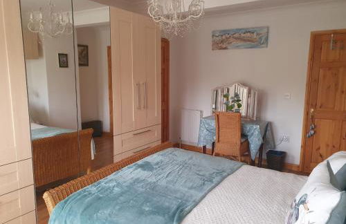 Little Dragons - Photo 6