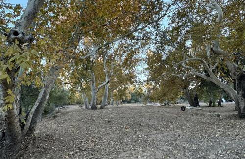 Cozy Creekside Cottage with Deck and Fire Pit in Camp Verde, Arizona - Foto 13
