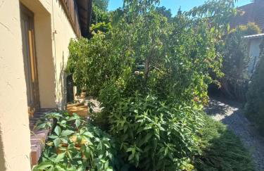 Avalon Połchowo - Foto 21