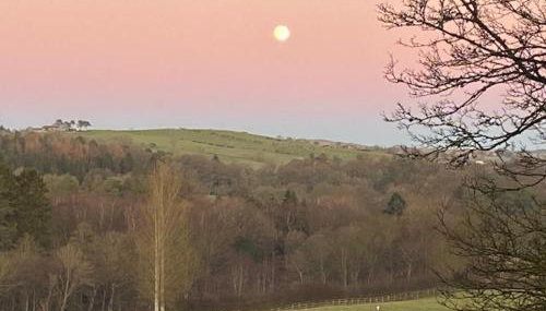 The Bothy at Ivy Cottage - Foto 2
