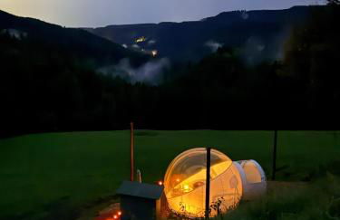 Hansjörgenhof Bioland-Hof - Foto 14