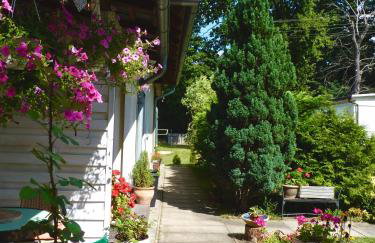 Ptasi Ogród - Foto 7