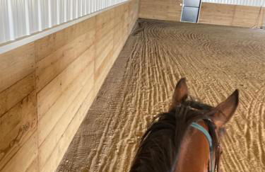 Yahweh Horse Retreat - Photo 15