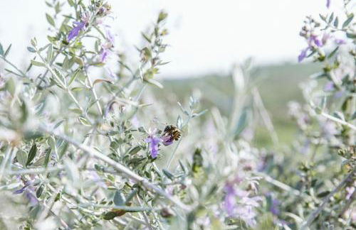 Villa Venti - Craft Wine & Hospitality - Foto 43