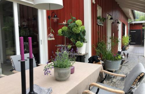 Schönes Haus mit 3 Schlafzimmern - bis zu 6 Personen - Foto 4