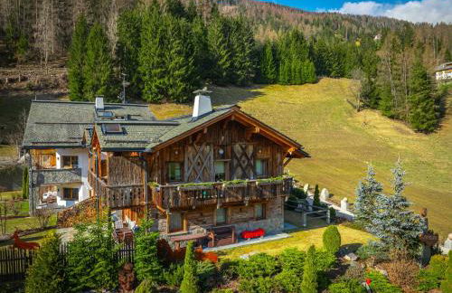 Alpine Mountain Chalet - Foto 53