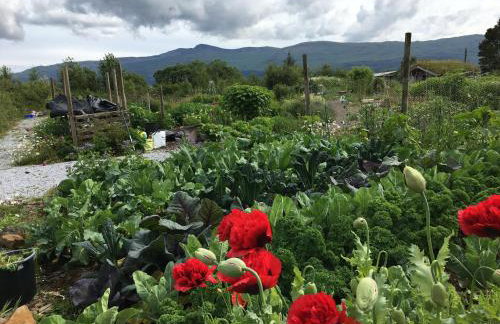 White Watch - Photo 22