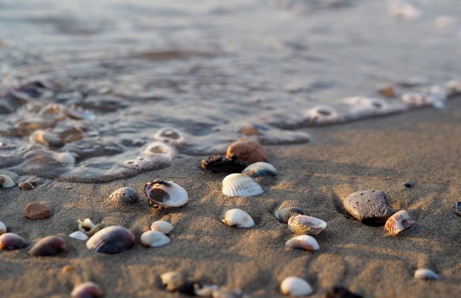 Flat With big Terrace in Grado - Beahost Rentals - Foto 6