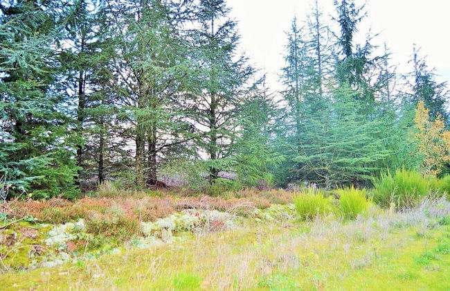 Le Grand Cottage Nature Bien-Etre Piscine - Foto 26