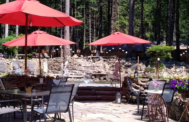 Stone Hearst - Foto 17