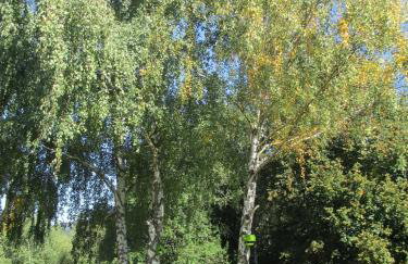 Apartment JULIJA 1 - Foto 13