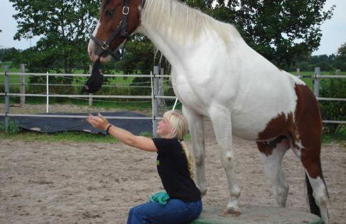 Little Farm House, 25164 - Foto 8