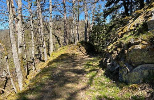 Wohnung im Herzen des Steinatals - Foto 32