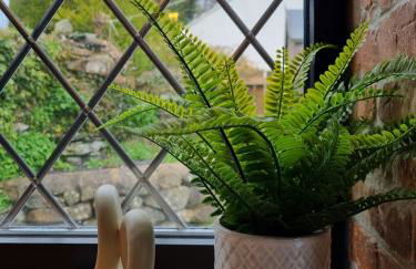 Green Cottage - Snowdonia - Foto 39