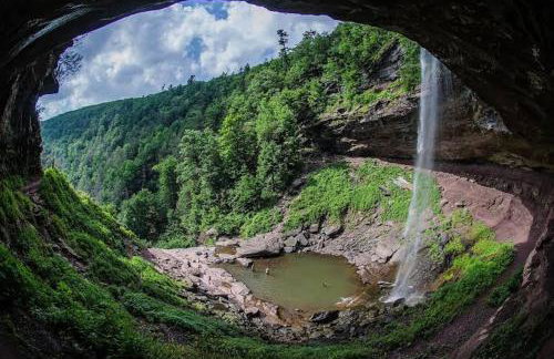 The Acorn includes fire pit, swimming, hiking and nature - Foto 26