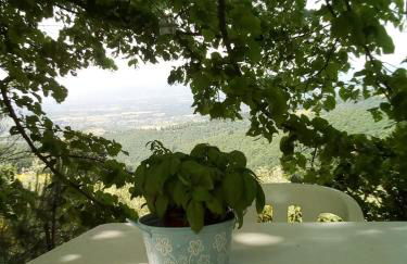 Casa Renacci - Foto 6